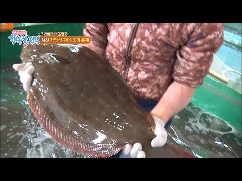 단 돈 만 원에 자연산 광어 두 마리! [행복한 저녁] 27회 20170524
