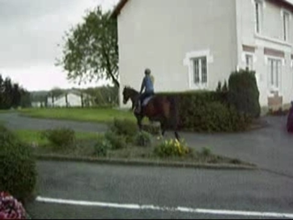 Vidéo comme ça, pour rien !