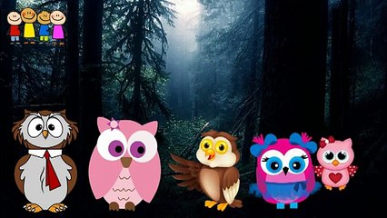 Gorilla-Squirrel -P Finger Family Poem   Funny 2D Videos