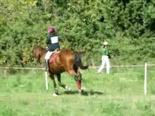 2007 10 07 aubignan complet padock cross_PC