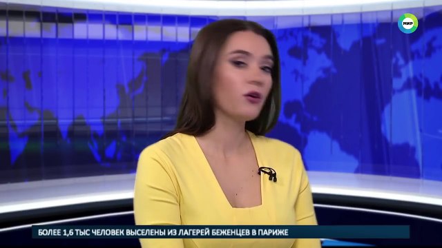 Un chien interrompt le journal d'une chaîne de télévision russe