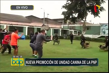Unidad canina PNP: perros son entrenados para prevención y control de desmanes