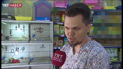 Hayvanları Koruma Kanunu'nda değişiklik Meclis gündemine geliyor