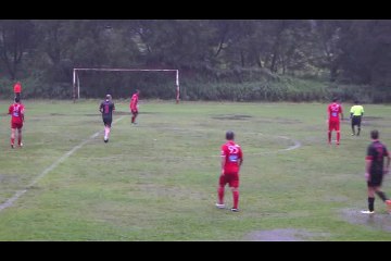 Saigon Bulls vs Saigon Japanese FC. Final score:  3-1