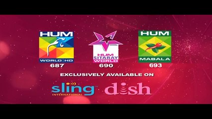 Sangsar Episode 38 HUM TV Drama - 24 May 2017