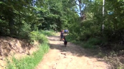 Bursa'da Kaybolan Zihin Engelli Kadın, Domaniç Yolu Üzerinde Bitkin Halde Bulundu