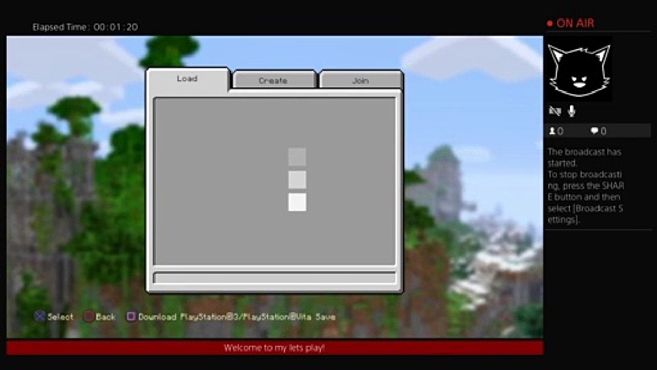 Minecraft (16)