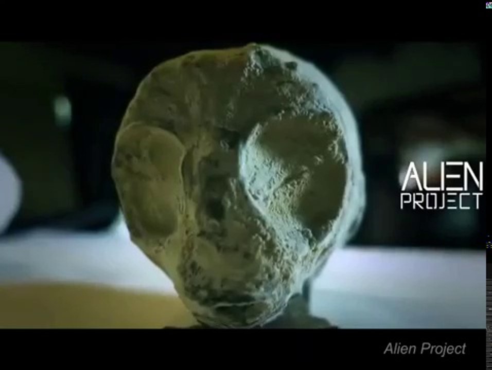 Entités biologiques Site Nazca Perou Alien Project equipes Thierry Jamin Institut Inkari a Cusco