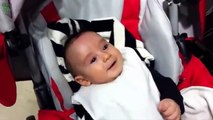 Cute Babies Laughing at Dogs Comilation