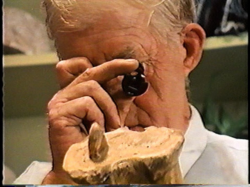 The Fossil Record Part 1
