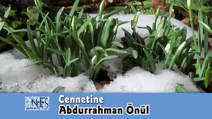 Medine Yolcusu - 1 ( En Güzel Seçme İlahiler )