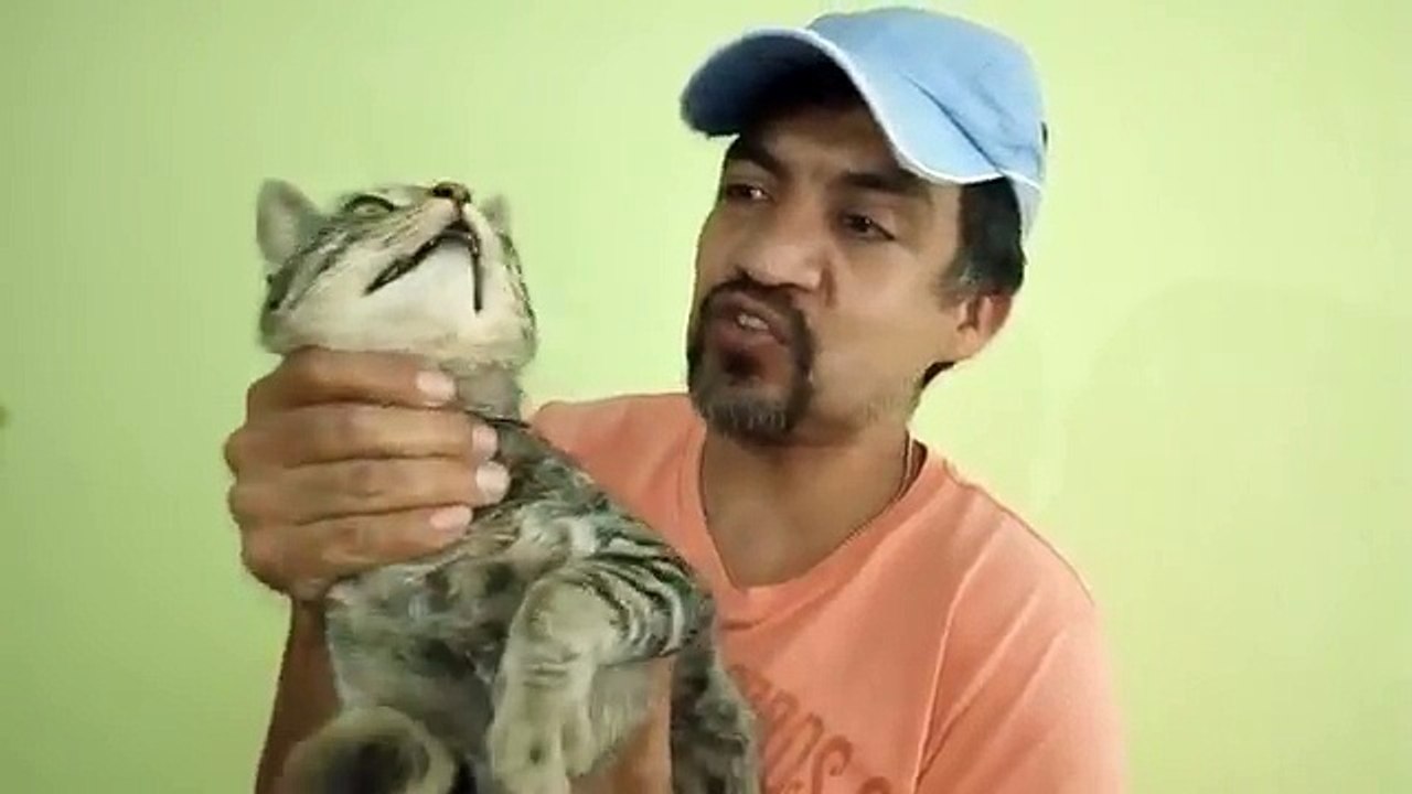 HOMEN MATANDO GATO