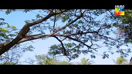 Nazr-e-Bad Episode 35 HUM TV Drama -24 May 2017