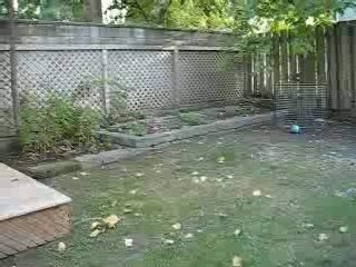 Rez de chaussée