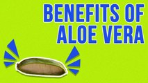 Health Benefits Of Aloe Vera