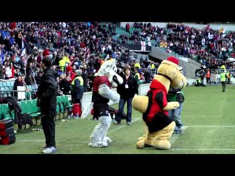 Heineken Cup Quarter-final 2013: Access All Areas - Saracens v Ulster Rugby at Twickenham