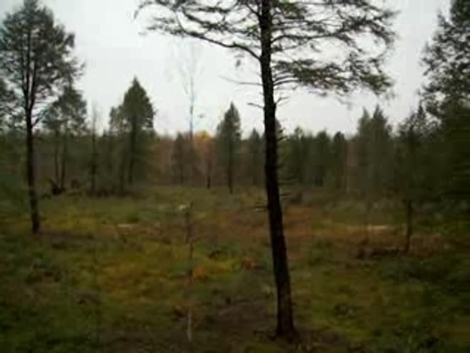 The Nisula Spot