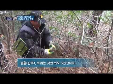 위암 3기를 이긴 자연인의 건강 비법 대공개 [코리아헌터59회]