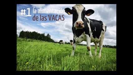 6 Razones para no Tomar Leche