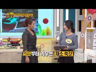 베란다 텃밭으로 부자되는 비법, 경제적인 채소 대파 키우기 [만물상 40회]