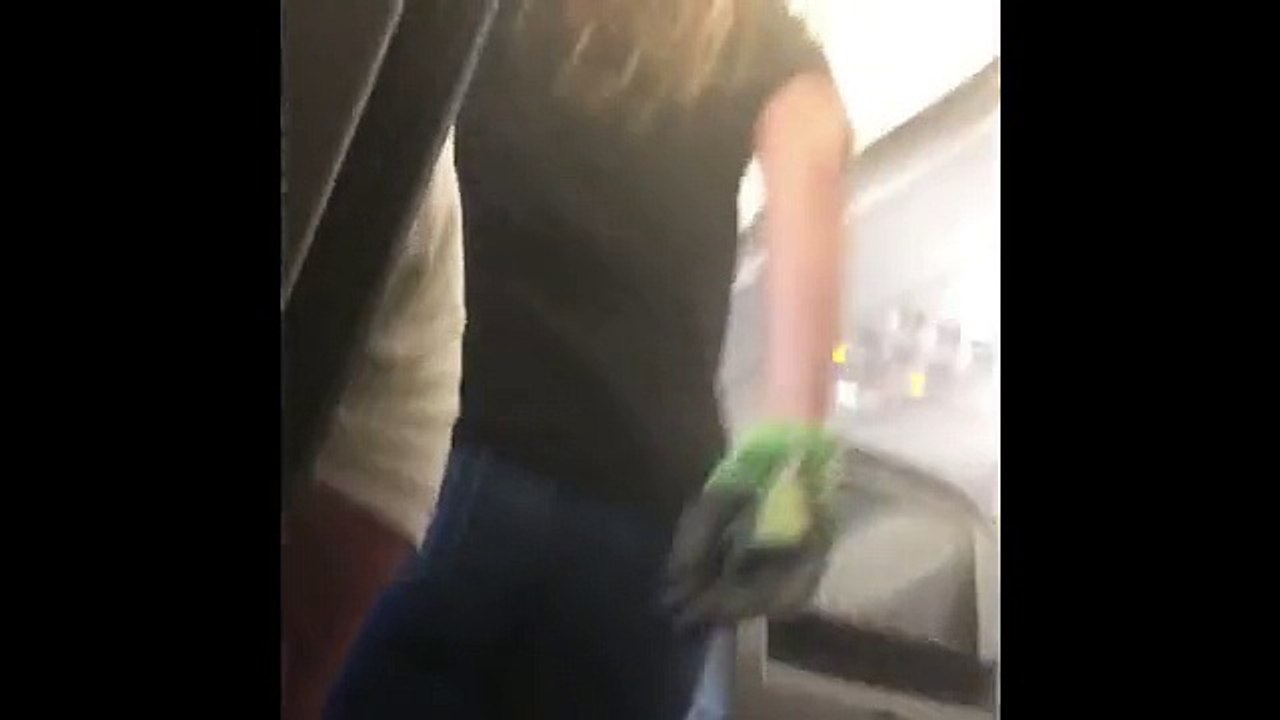 ABD Uçağında Kokpite Girmeye Çalışan Türk