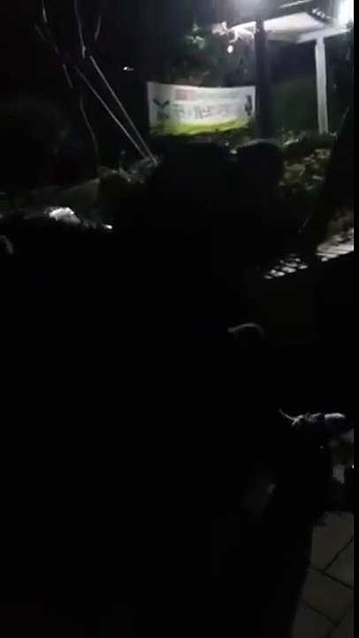 -공무집행 vs 과잉진압- 경찰관 멱살 잡은 10대에 테이저건 제압
