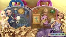 Poupées Disney Princesses Animators' Collection Dolls Play Doh Reine des Neiges Raiponce