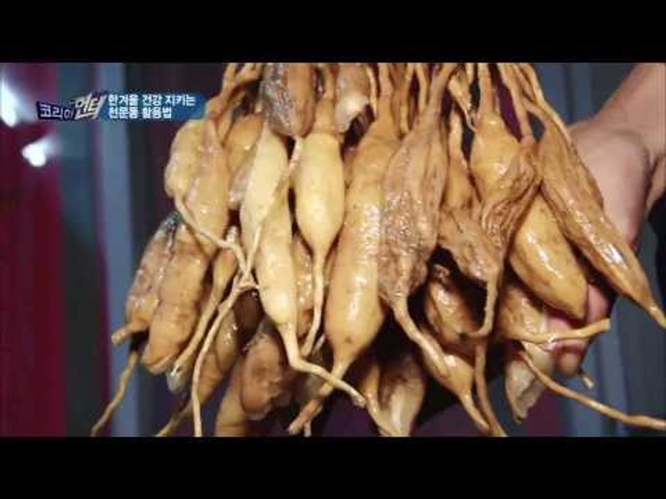 한 겨울 건강 지키는 천문동 활용법 [코리아헌터55회]
