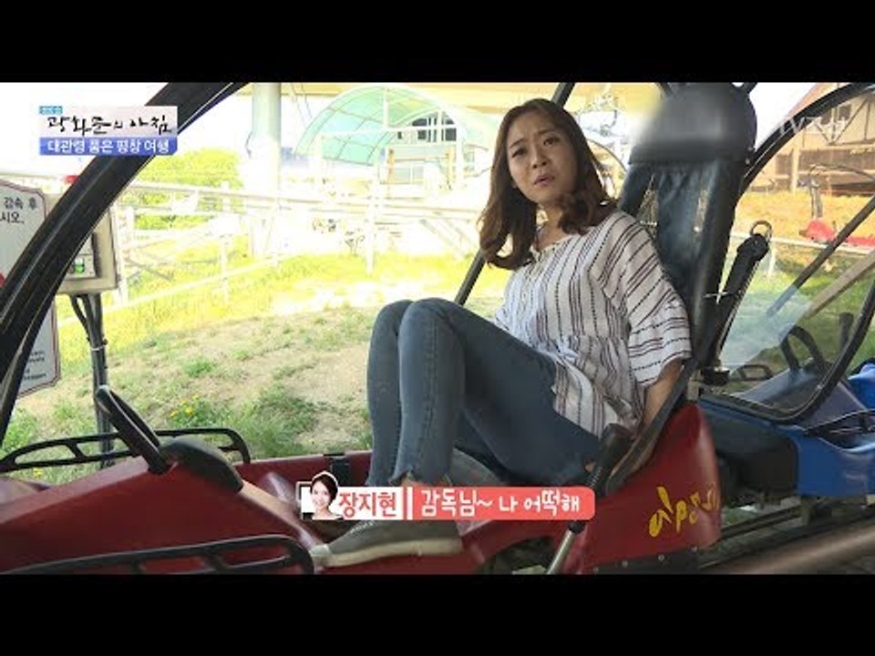 시속 40km! 1인용 롤러코스터, 알파인코스터! [광화문의 아침] 488회 20170525