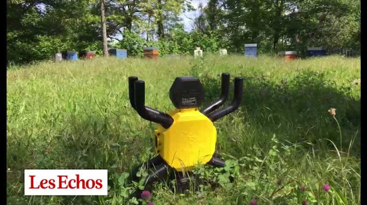 Une ruche connectée pour lutter contre la disparition des abeilles