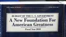 Trump plan to cut trillions of dollars from social programmes defended