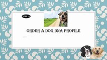 DNA Test kit for checking the breed of Dogs.
