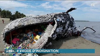 Greenpeace fait le buzz avec une fausse baleine échouée sur une plage - Regardez