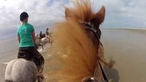 Horse Riding - Icelandic Horses for Kids