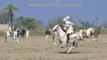 Sahibzada Sultan Bahadar Aziz Sahib Lead Rider M.H Sultania Awan Horse Neza Baaz Club