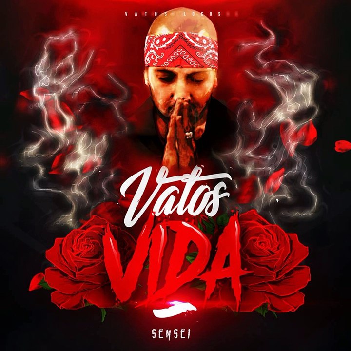 Sensei vatos Intro