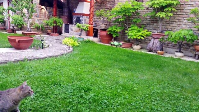 Игра с Дрон - Втори дубъл