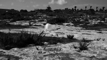 Leonard Rachita cart ruts thought Gozo island Malta 2016