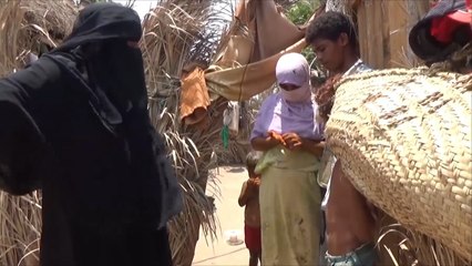 هذا الصباح-بئر عبد الله ملاذ الهاربين من الحرب باليمن