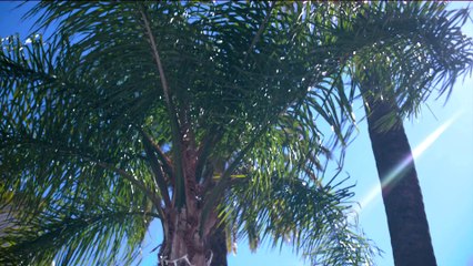 ANDY MACDOWELL TALKS TO VOGUE PARIS AT CANNES