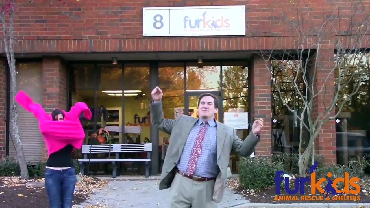 Official Furkids Kitty commercial