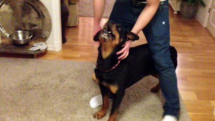 천안휴게텔에서 @ 구글에서 오피톡 검색 @ 청주립카페 대전립다방 세종시안마 진천 서산 아산 오창 당진 유흥업소 룸싸롱 풀쌀롱 주점 2차!!!