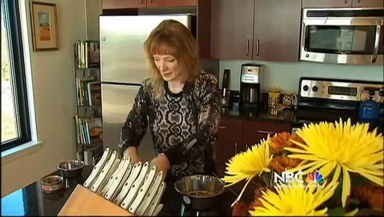 United Airlines Almost Killed My Greyhound