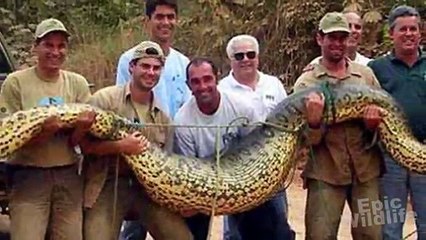 Man Saves Boy From Snake