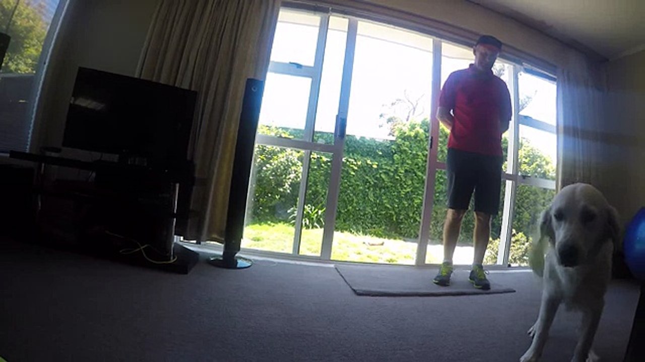 I genitori portano il neonato a casa, la reazione del cane è dolcissima