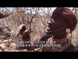 삼부루족 전사 모란, 하이에나의 추격전 [세계로 가는 아시아헌터 1회]