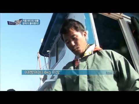'겨울바다의 대물' 방어 잡이 생생현장 [코리아헌터48회]