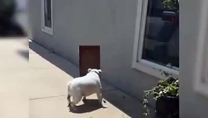 Drunk us trying to get home last night