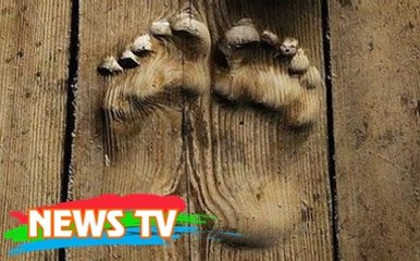 Top 20 hiện tượng bí ẩn nhất chưa có lời giải đáp