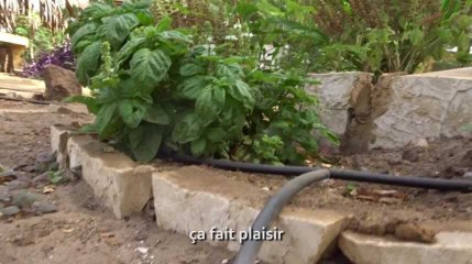 Entrepreneurs africain#2 : des tuyaux d'irrigation à base de plastique recyclé